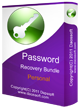 recupero password