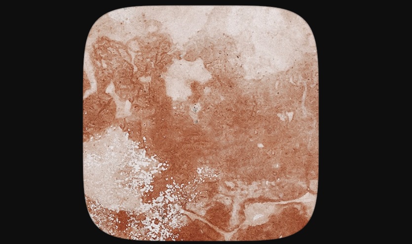  Filtro Moody Up "width =" 675 "height =" 400 "/> </p>
<p> <strong> Moody Up </strong> è un utile filtro che trasformerà qualsiasi foto o video delle tue Instagram Stories in una pubblicazione degna della carta couché. Il filtro creato da <strong> @carmushka </strong> dà un aspetto molto simile alle fotografie che appaiono nelle riviste di moda come Vogue. Vuoi essere uno degli instagrammer più stilosi? Prova Moody Up! </p>
<ul>
<li> Puoi scaricare Moody Up facendo clic <strong> qui </strong>. </li>
<li> Se vuoi scaricare tutti i filtri da @carmushka, non dimenticare di seguirla su Instagram cliccando sul seguente link <strong> </strong>. </li>
</ul>
<h3> <strong> TF: vintage </strong> </h3>
<p> <img decoding=